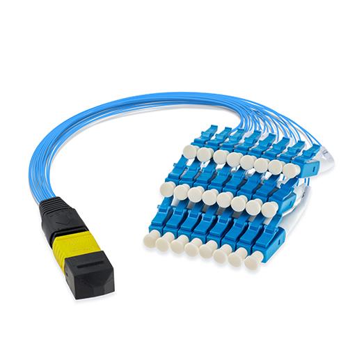 MPO/MTP Module fanout Fiber Patch Cord MPO/MTP Module fanout Fiber Patch Cord